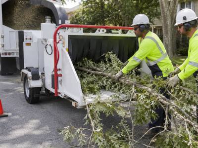 Crew feeding brush into the chipper and clearing the site behind them